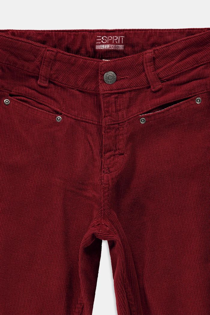 Pantalón de pana en algodón, DARK RED, detail image number 2