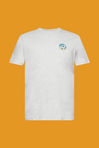 Camiseta de corte holgado con estampado pequeño en el pecho, LIGHT GREY, overview