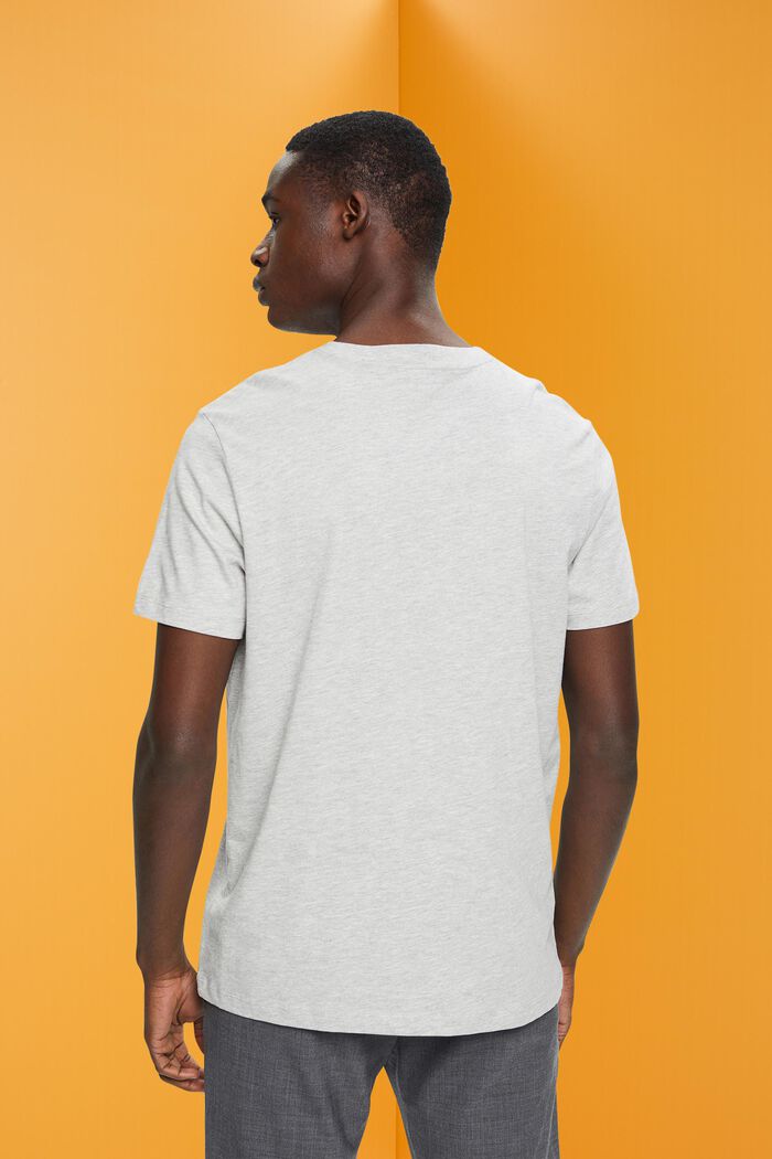 Camiseta de corte holgado con estampado frontal, LIGHT GREY, detail image number 3