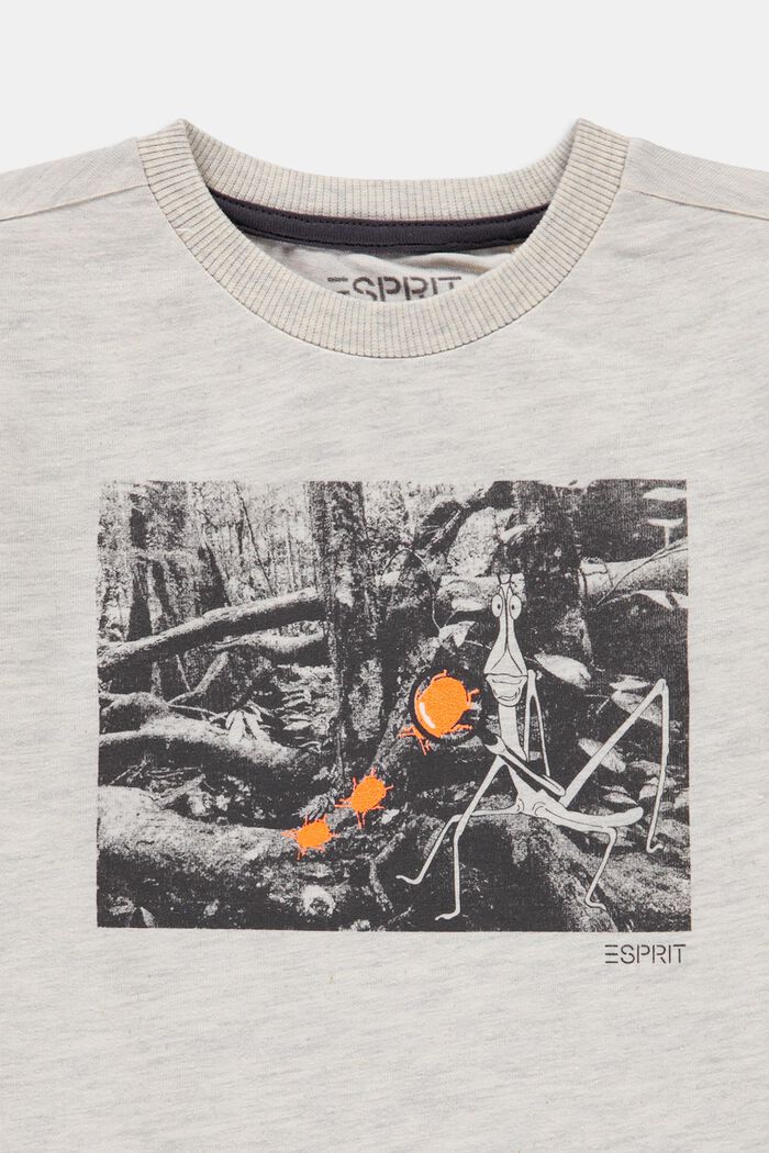 Camiseta con estampado en 100 % algodón, SILVER, detail image number 2