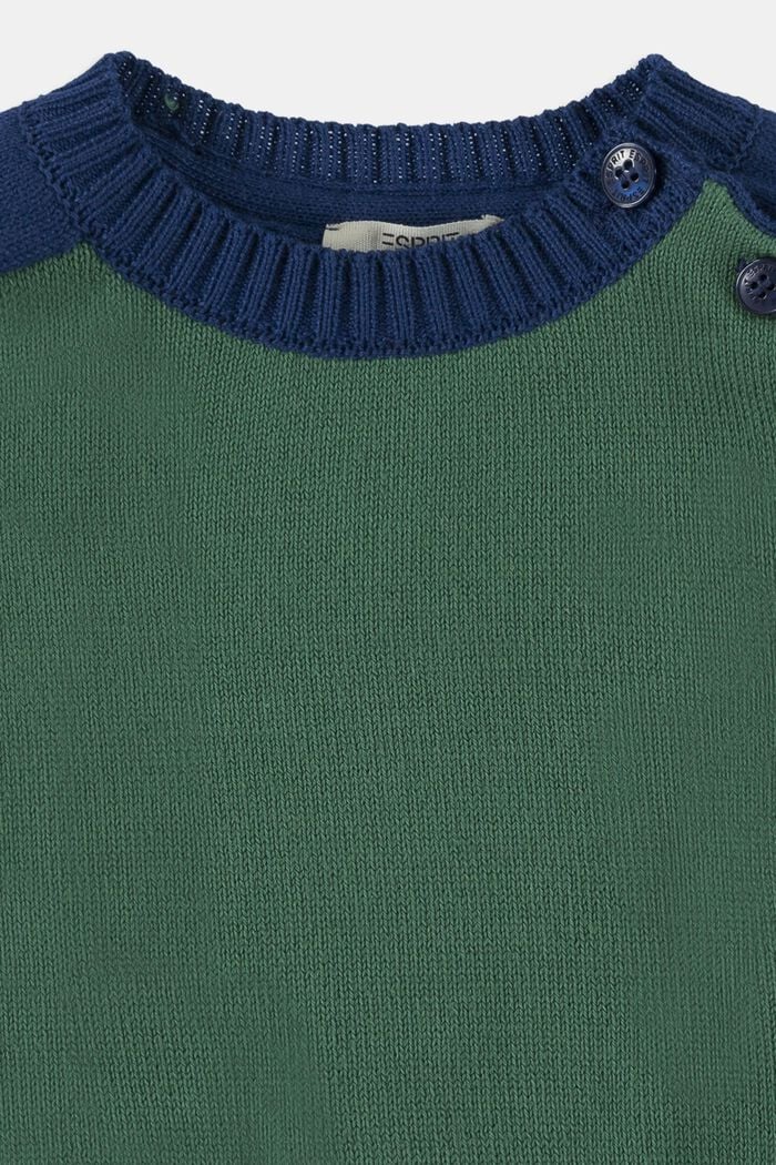 Jersey de algodón con diseño de bloques de color, BOTTLE GREEN, detail image number 2