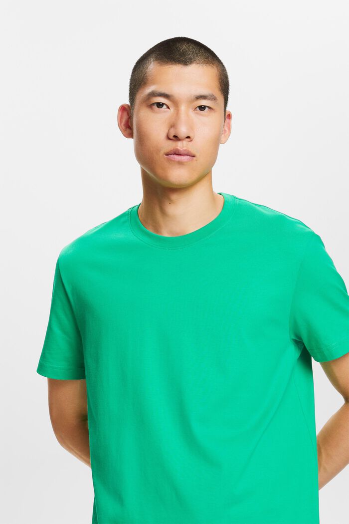 Camiseta de cuello redondo en tejido jersey de algodón Pima, GREEN, detail image number 4