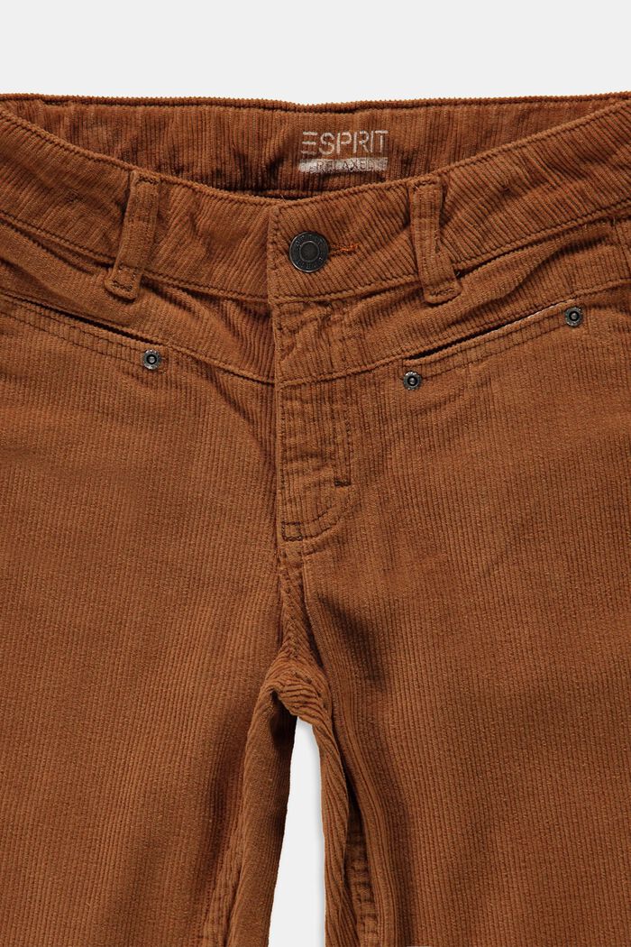 Pantalón de pana en algodón, DARK BROWN, detail image number 2