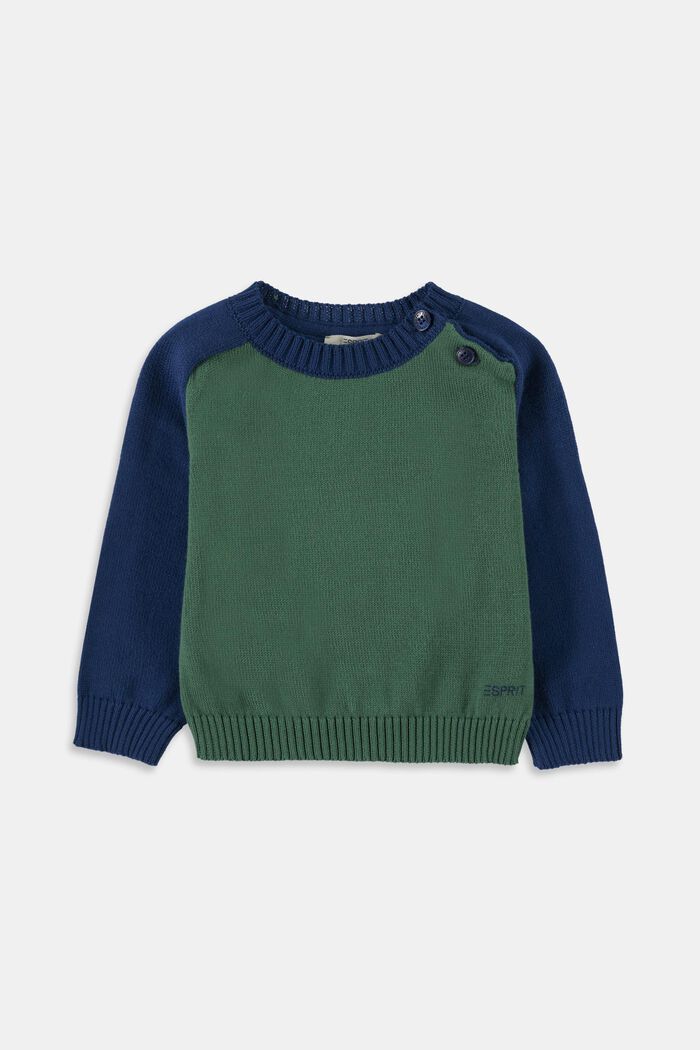 Jersey de algodón con diseño de bloques de color, BOTTLE GREEN, overview