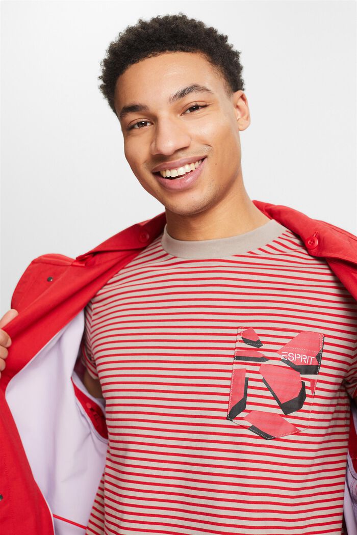 Camiseta a rayas en tejido jersey de algodón, DARK RED, detail image number 4