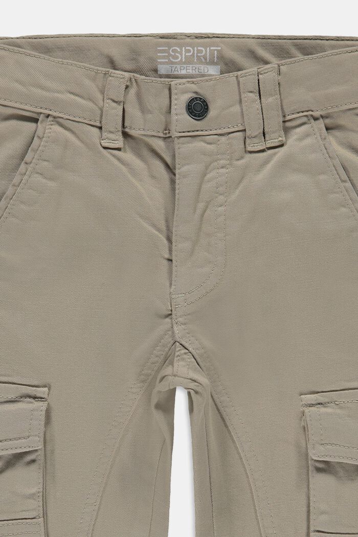 Pantalón cargo con cintura ajustable, TOFFEE, detail image number 1