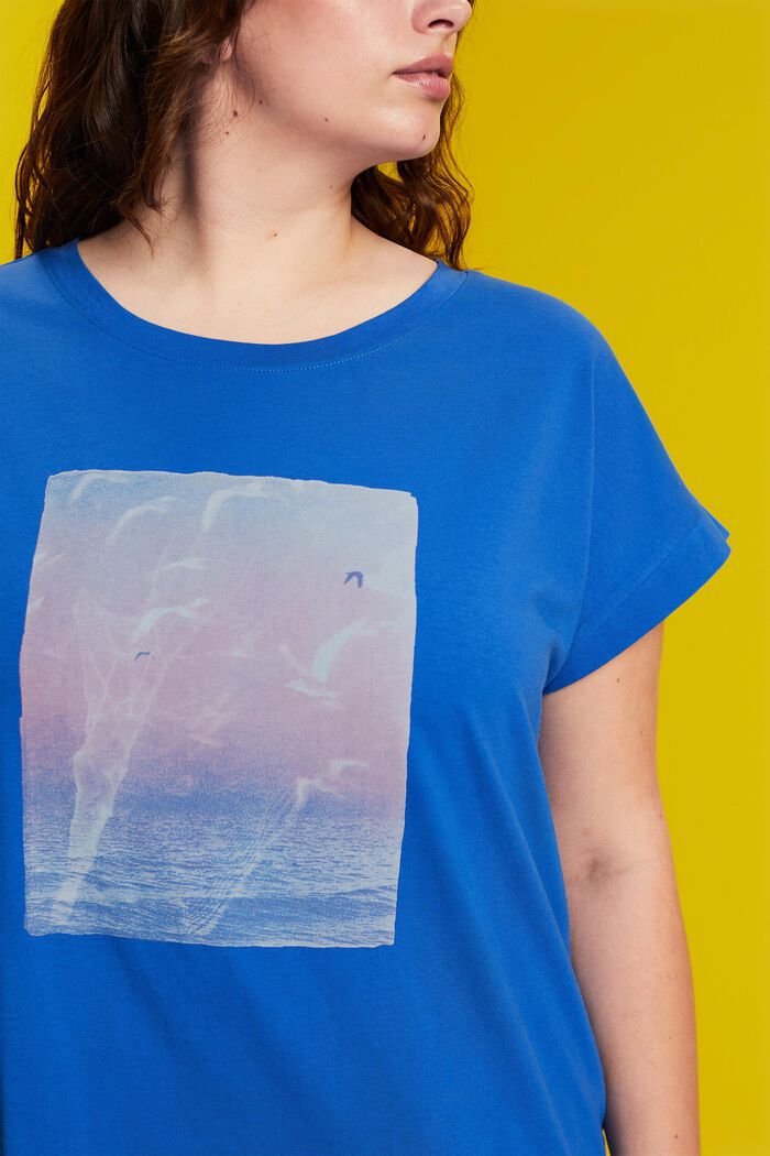 CURVY Camiseta con estampado frontal, 100% algodón, BRIGHT BLUE, detail image number 2