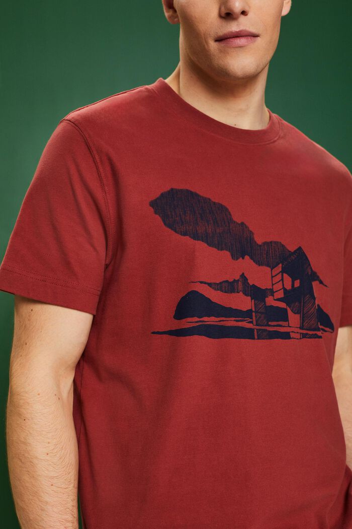 Camiseta con estampado geométrico, TERRACOTTA, detail image number 2