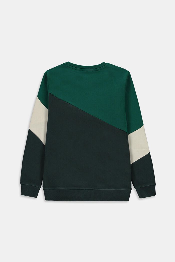 Sweatshirts, EMERALD GREEN, detail image number 1