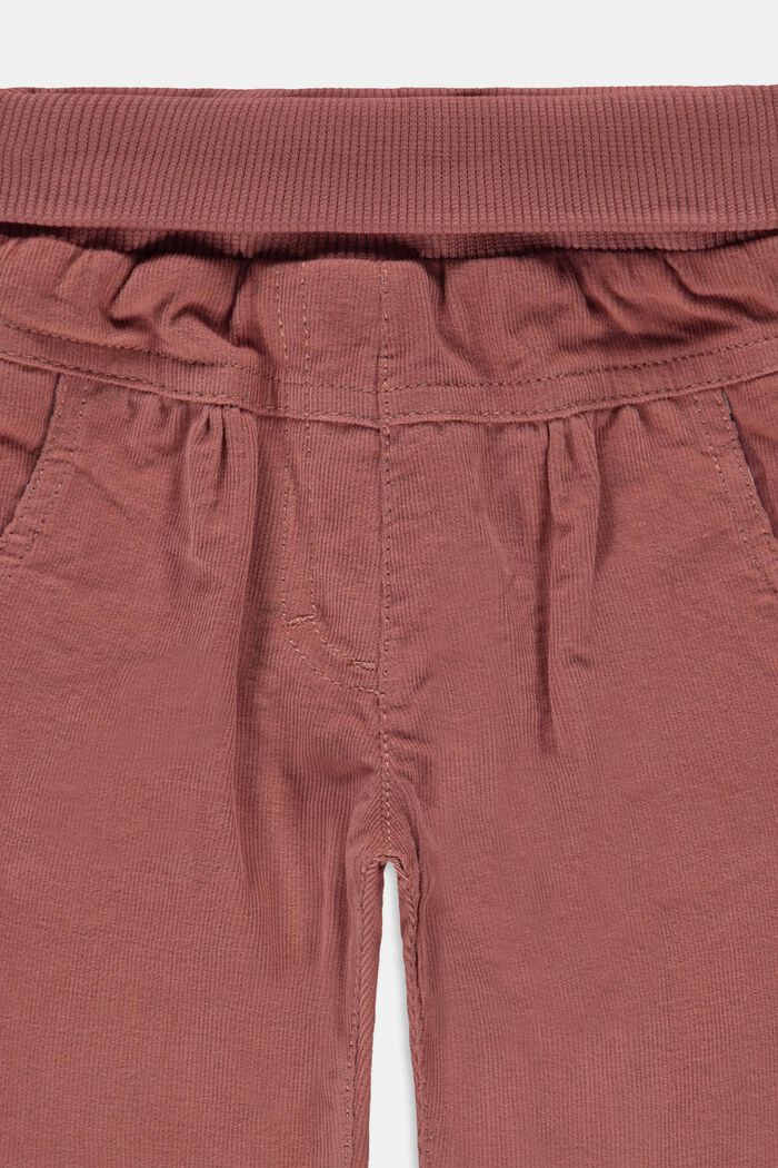 Pantalón de pana forrado con algodón ecológico, DARK MAUVE, detail image number 1