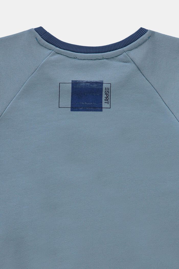 Sudadera en 100% algodón, LIGHT BLUE, detail image number 2
