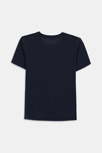 Camiseta con el logotipo en 100% algodón