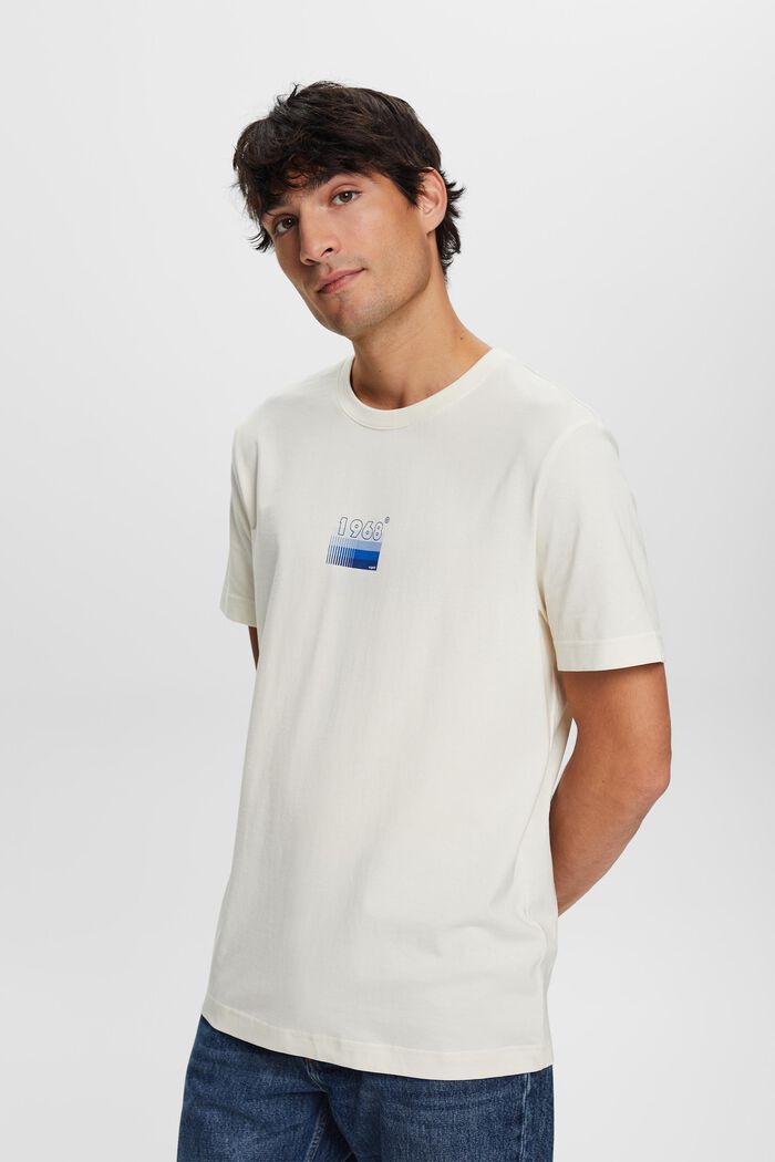 Camiseta de tejido jersey con estampado, 100% algodón, ICE, detail image number 0