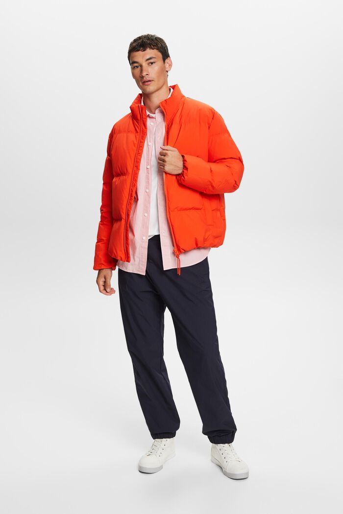 Reciclada: chaqueta acolchada con plumón, BRIGHT ORANGE, detail image number 1