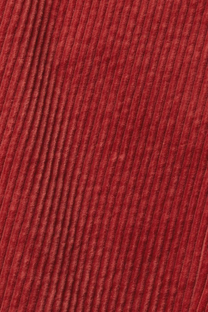 Pantalón de pana en algodón, TERRACOTTA, detail image number 1