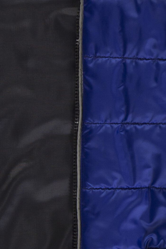 Cazadora acolchada con capucha, BRIGHT BLUE, detail image number 2