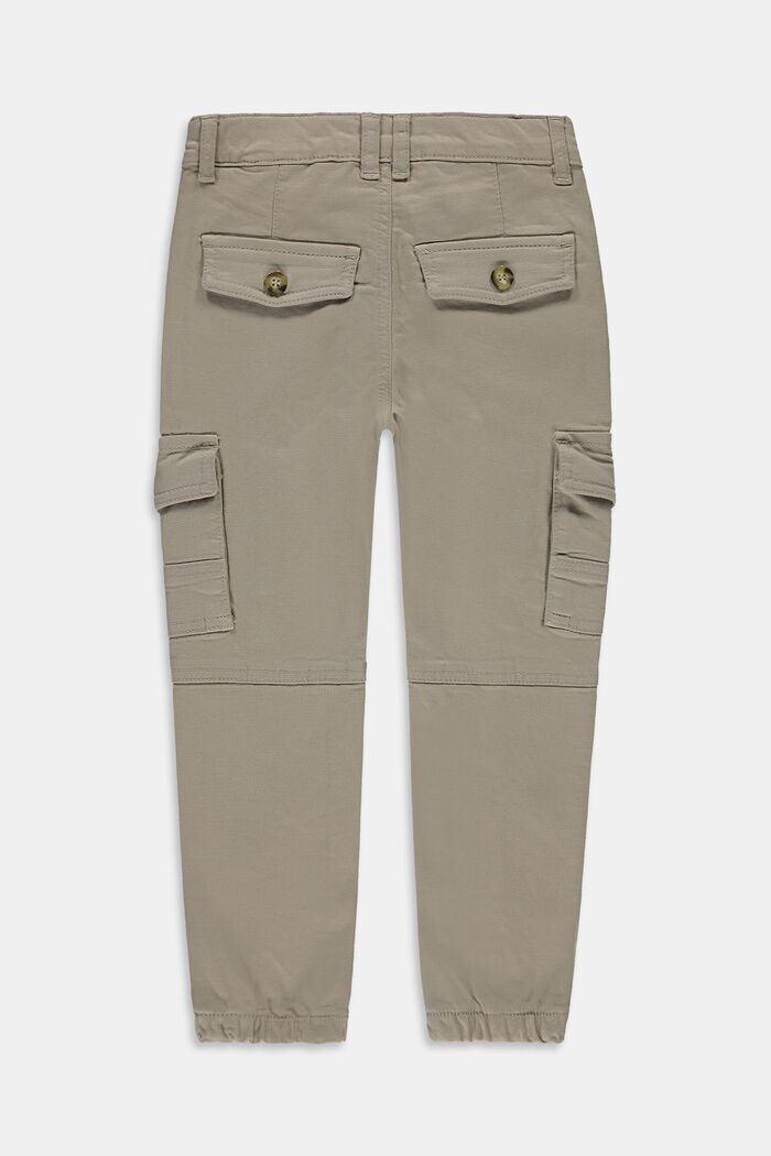 Pantalón cargo con cintura ajustable, TOFFEE, detail image number 2