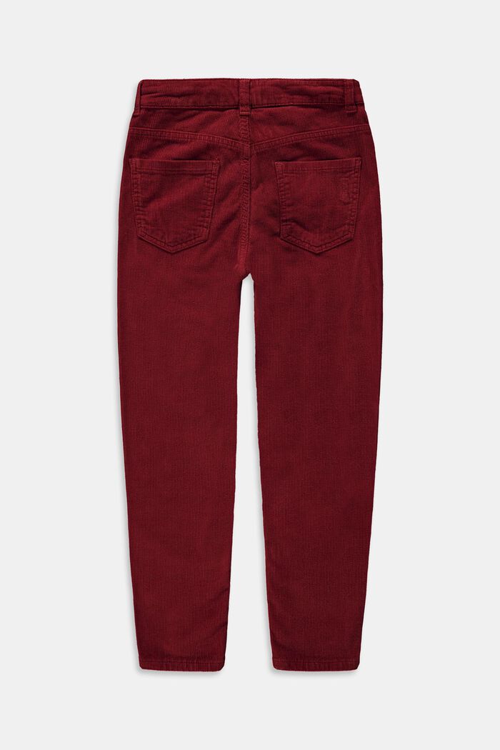 Pantalón de pana en algodón, DARK RED, detail image number 1