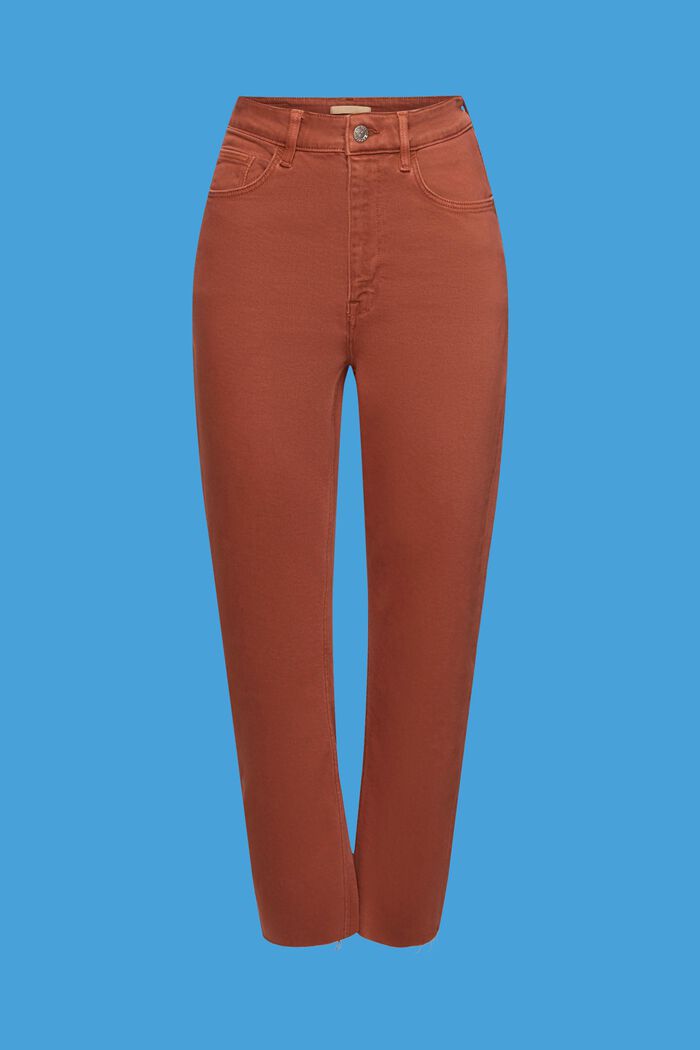 Pantalones tobilleros con bajos deshilachados, RUST BROWN, detail image number 6