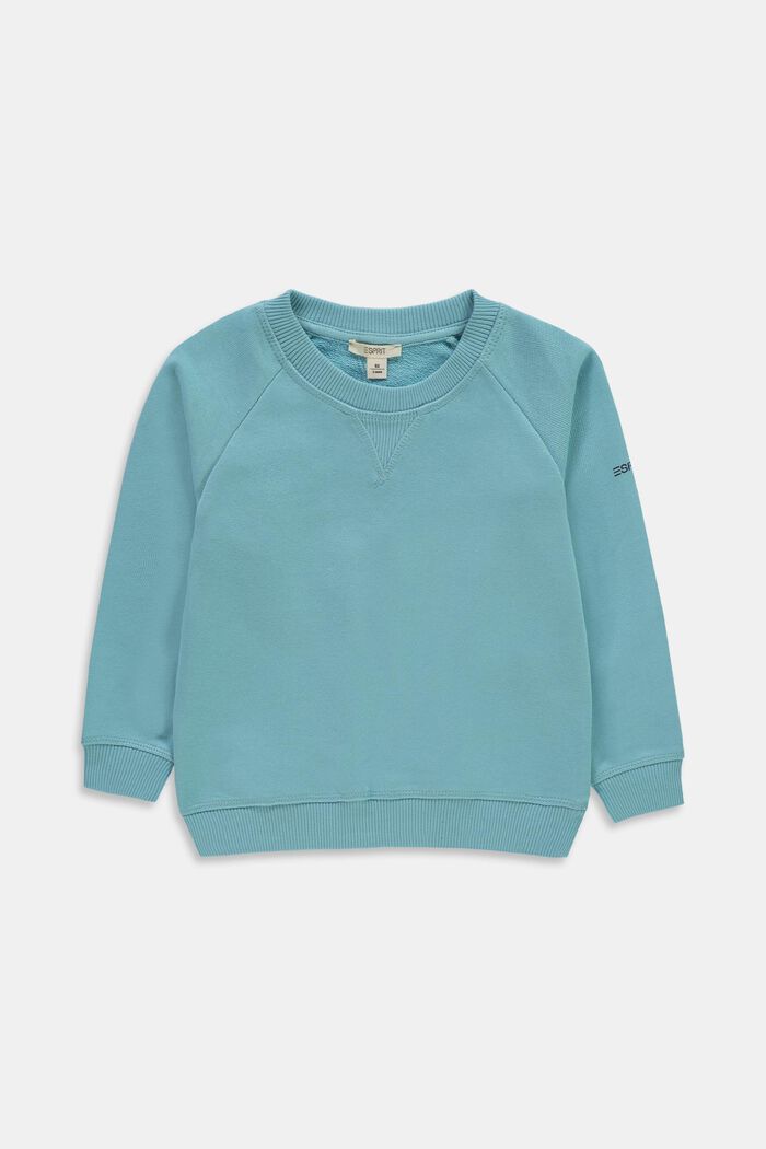 Sudadera unicolor, LIGHT TURQUOISE, overview