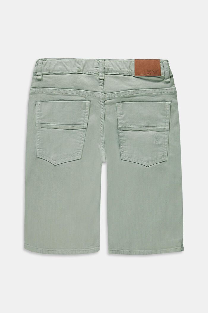 Reciclados: shorts con cintura ajustable, LIGHT AQUA GREEN, detail image number 1