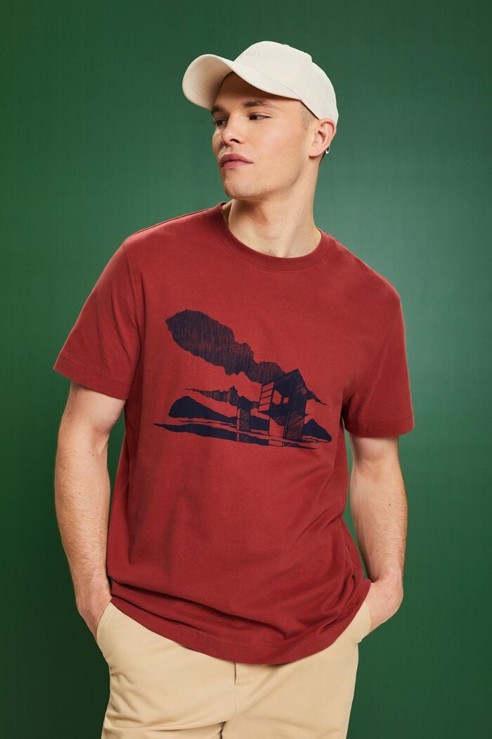 Camiseta con estampado geométrico, TERRACOTTA, detail image number 0