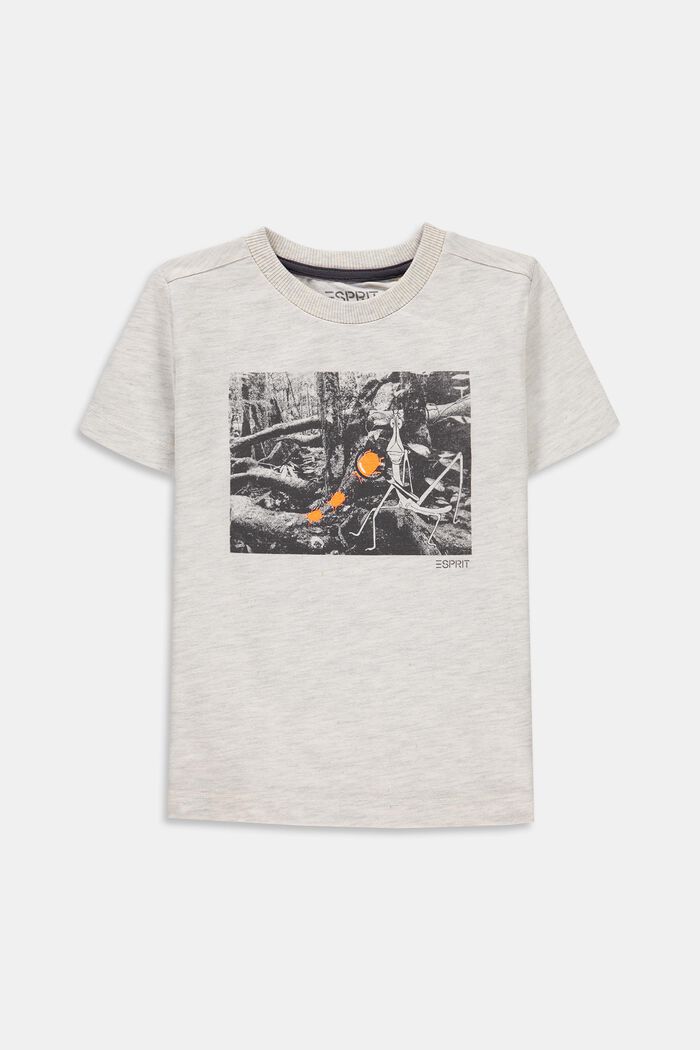 Camiseta con estampado en 100 % algodón, SILVER, detail image number 0