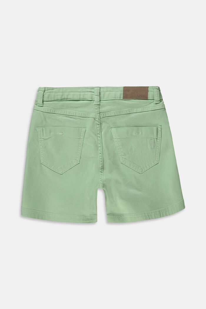 Reciclados: shorts con cintura ajustable, PISTACCHIO GREEN, detail image number 1