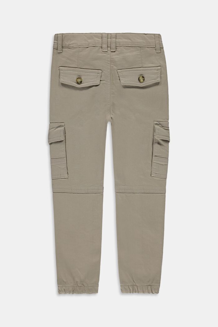 Pantalón cargo con cintura ajustable, TOFFEE, detail image number 1