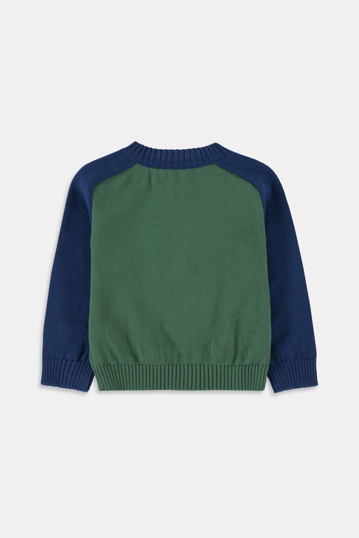 Jersey de algodón con diseño de bloques de color, BOTTLE GREEN, detail image number 1