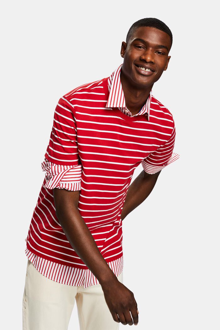 Camiseta a rayas en tejido jersey de algodón, DARK RED, detail image number 5