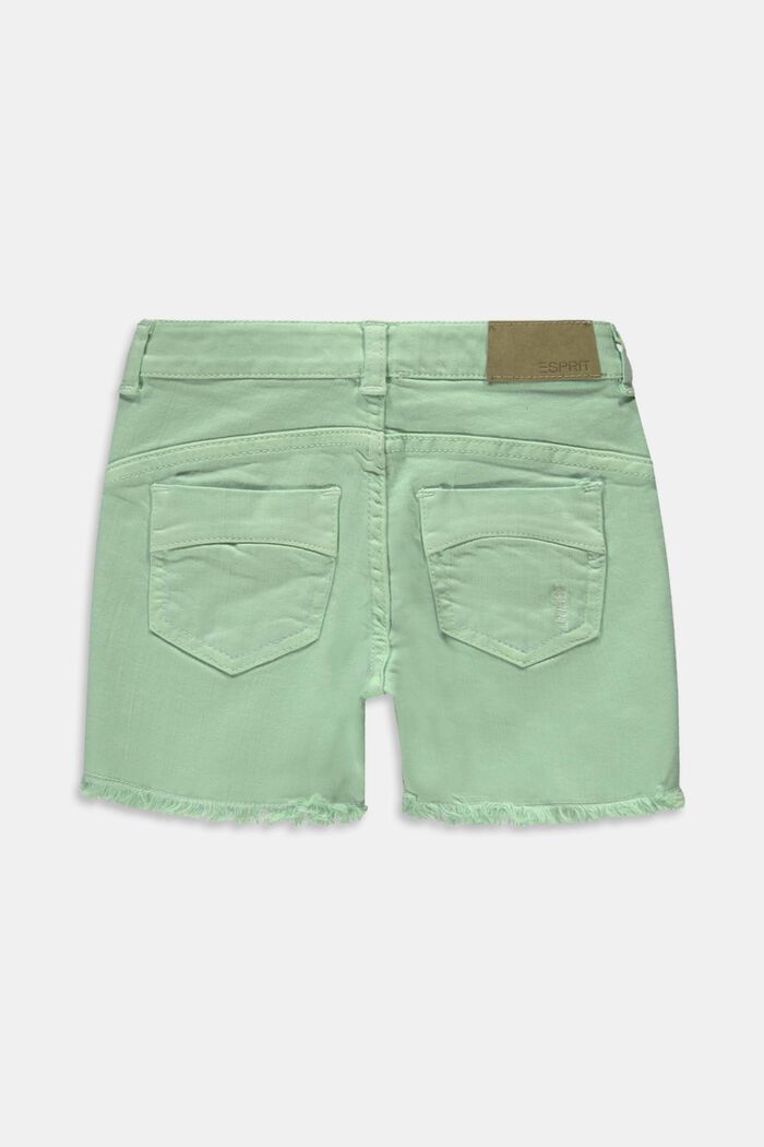 Reciclados: pantalones cortos con cintura ajustable, PISTACCHIO GREEN, detail image number 1