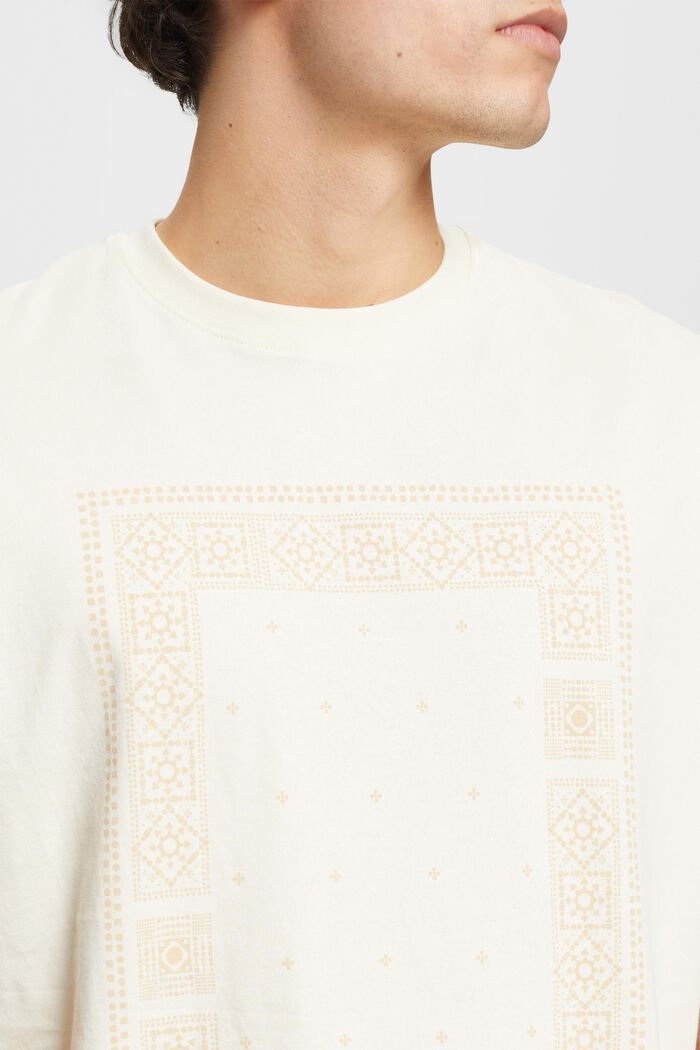 Camiseta de corte holgado en algodón con estampado frontal, ICE, detail image number 2